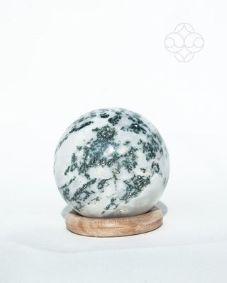 Light-Coded Tree Agate Sphere