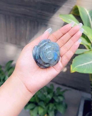 Light-Coded Labradorite Rose